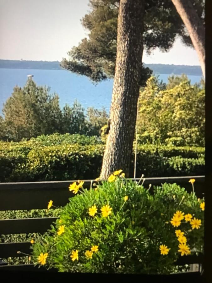 Casa Dade Villa Cannes Exterior photo